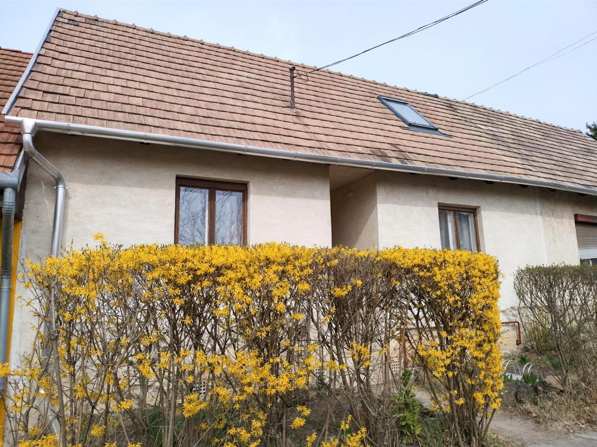 Eva Vendeghaz Villa Тата Екстериор снимка